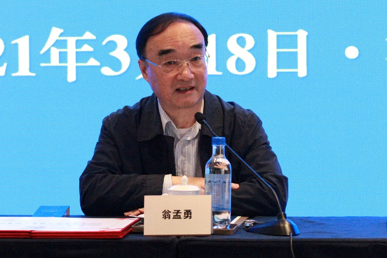 图片2——翁孟勇理事长讲话.png