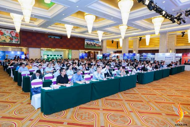 IMGL0169-opq4074346746